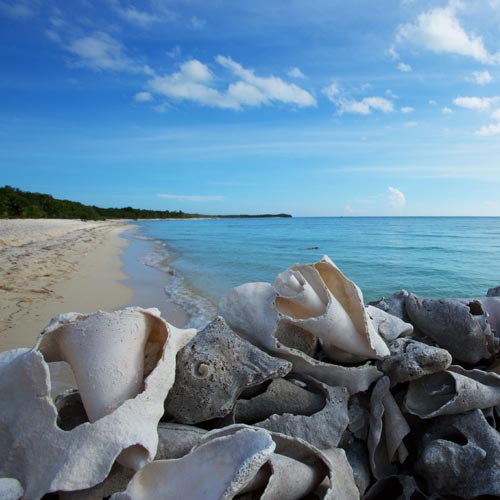 Endless beaches in Cozumel